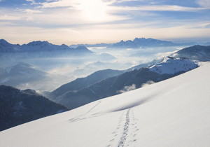 不太正经的技术解读，让你快速了解技术知识